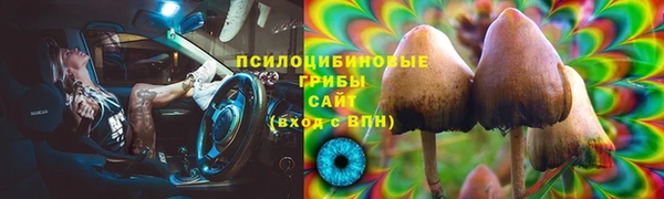 гидропоника Балабаново